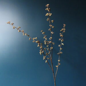 Kunst Tak met Mini Beige Bessen