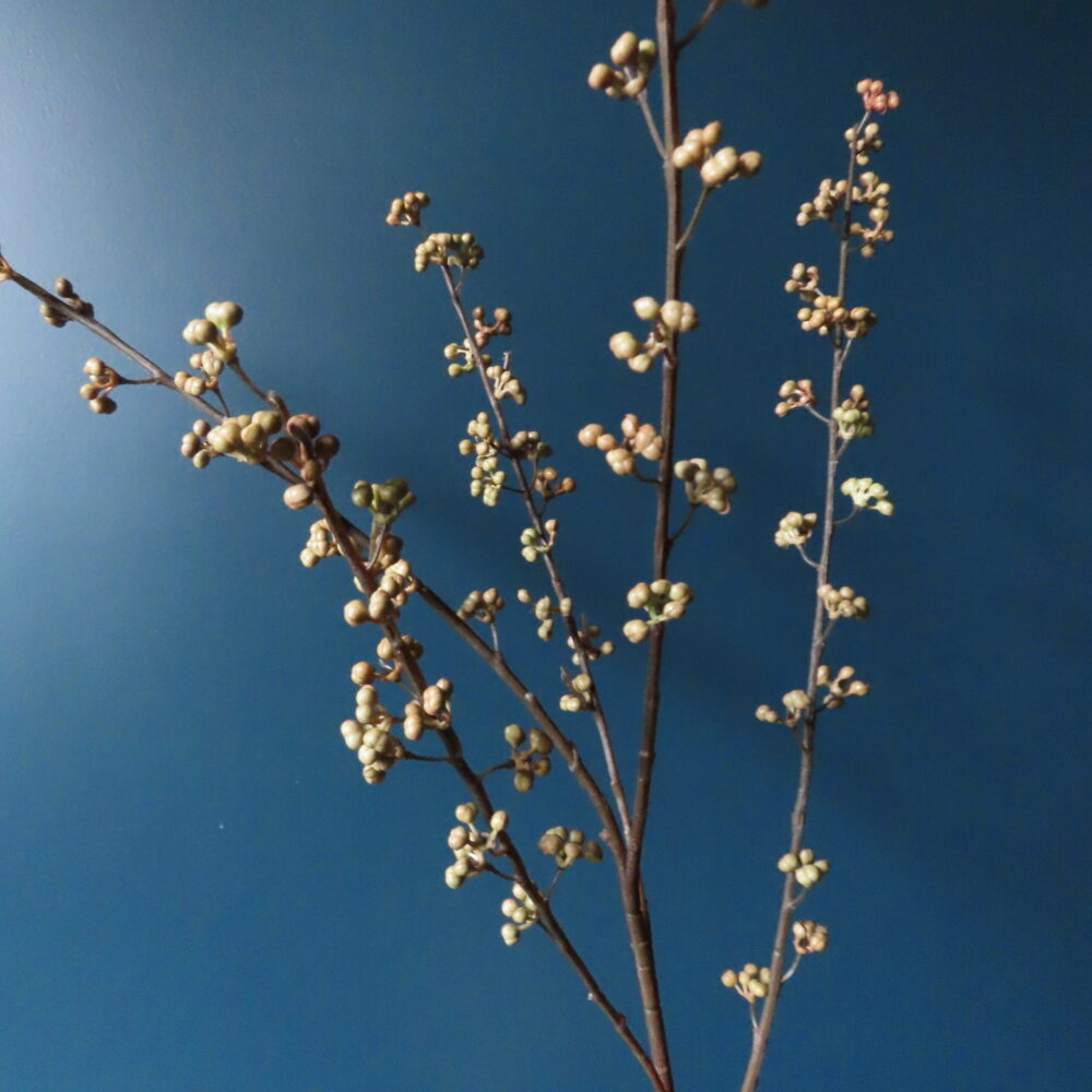 Kunst Tak met Mini Beige Bessen - Afbeelding 2