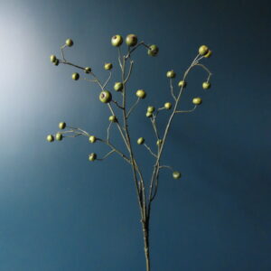 Kunst Tak met Groene Rozenbottels