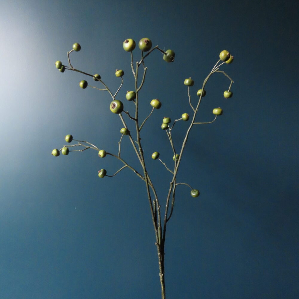 Kunst Tak met Groene Rozenbottels
