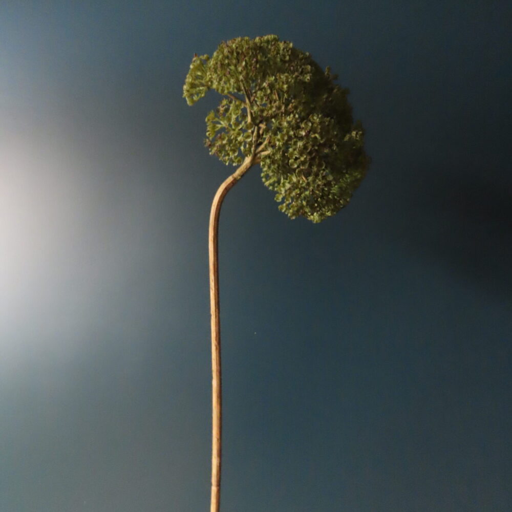 Kunst Achillea Groen L