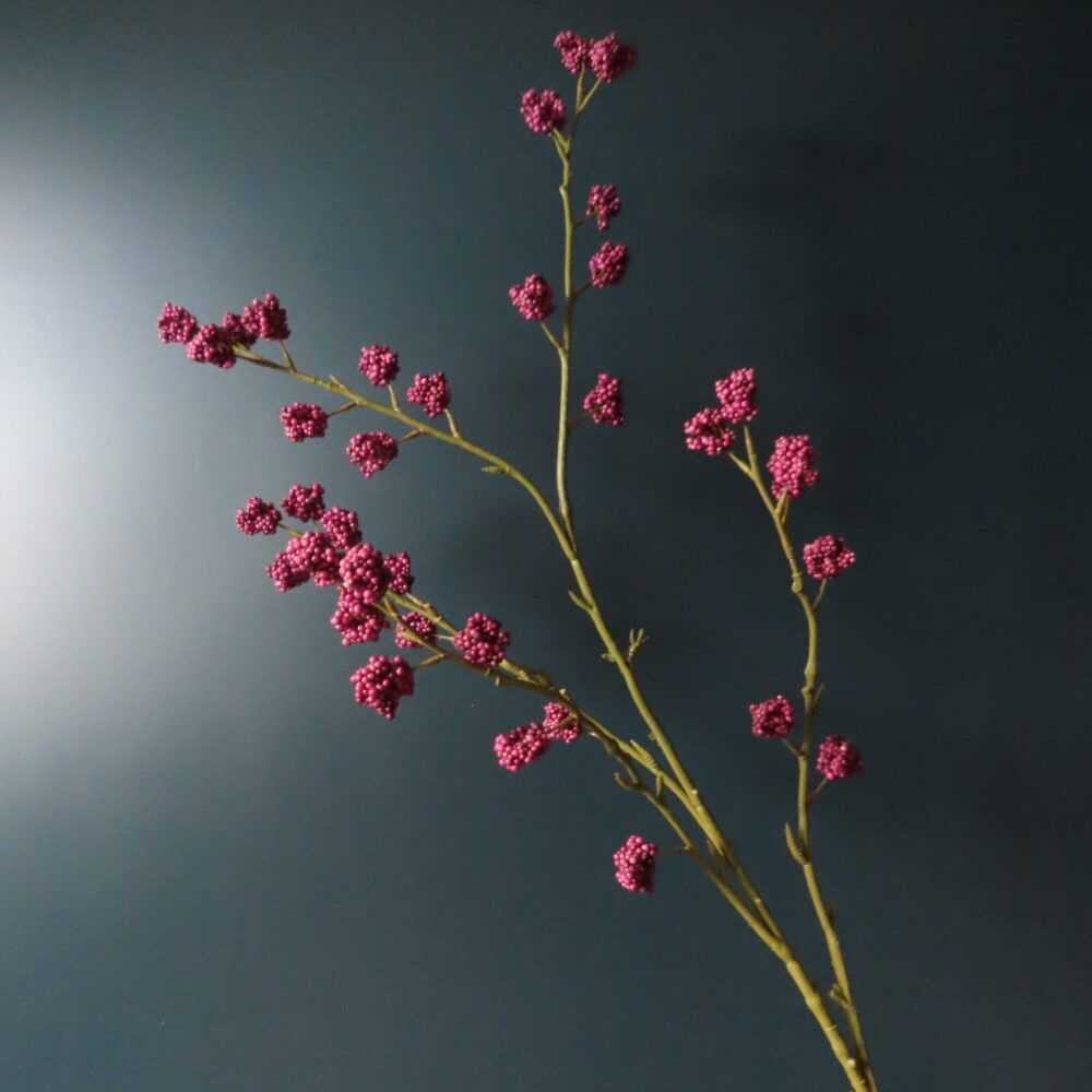 Kunst Callicarpa met Frambozenrode Bessen