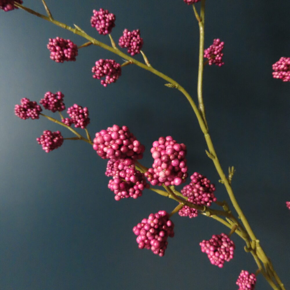 Kunst Callicarpa met Frambozenrode Bessen - Afbeelding 2