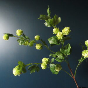 Kunst Zijde Hop Tak met Bloemen Lichtgroen