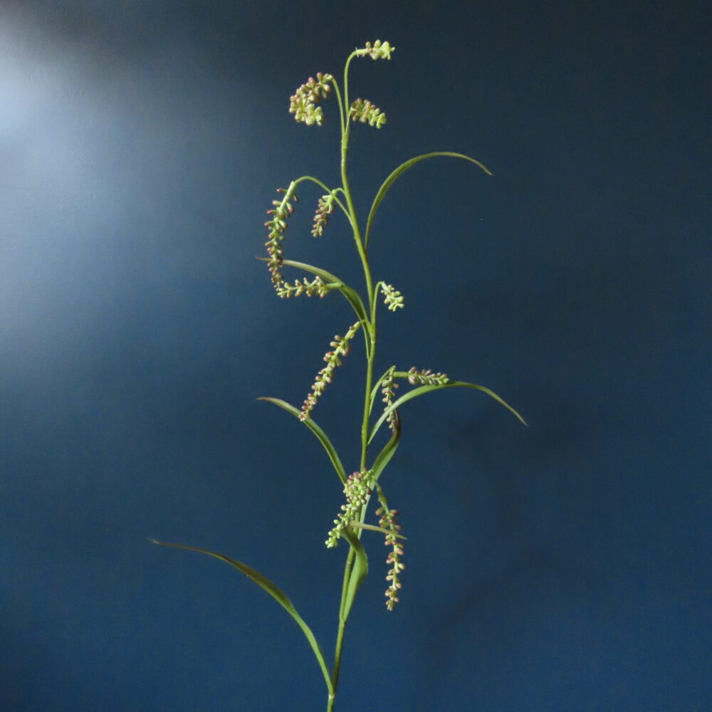 Kunst Amaranthus Lichtgroen