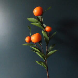Kunst Tak Citrus Mandarijn Oranje