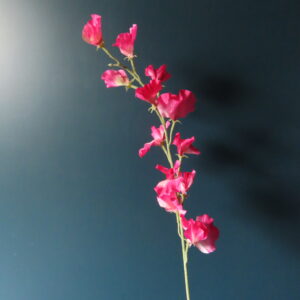 Kunst Zijde Bloem Lathyrus Cerise