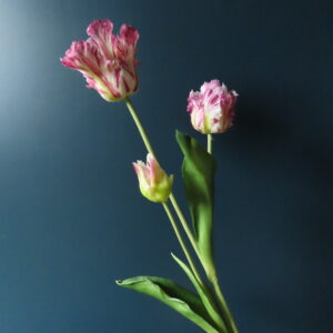 Kunst French Tulip Cyclaam/Wit met 3 Bloemen