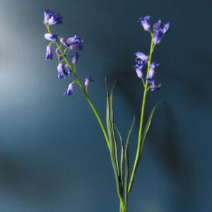 Kunst Zijde Wilde Hyacinth Blauw/Paars