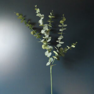 Kunst Tak Eucalyptus met Groen/Grijs Bladgroen L