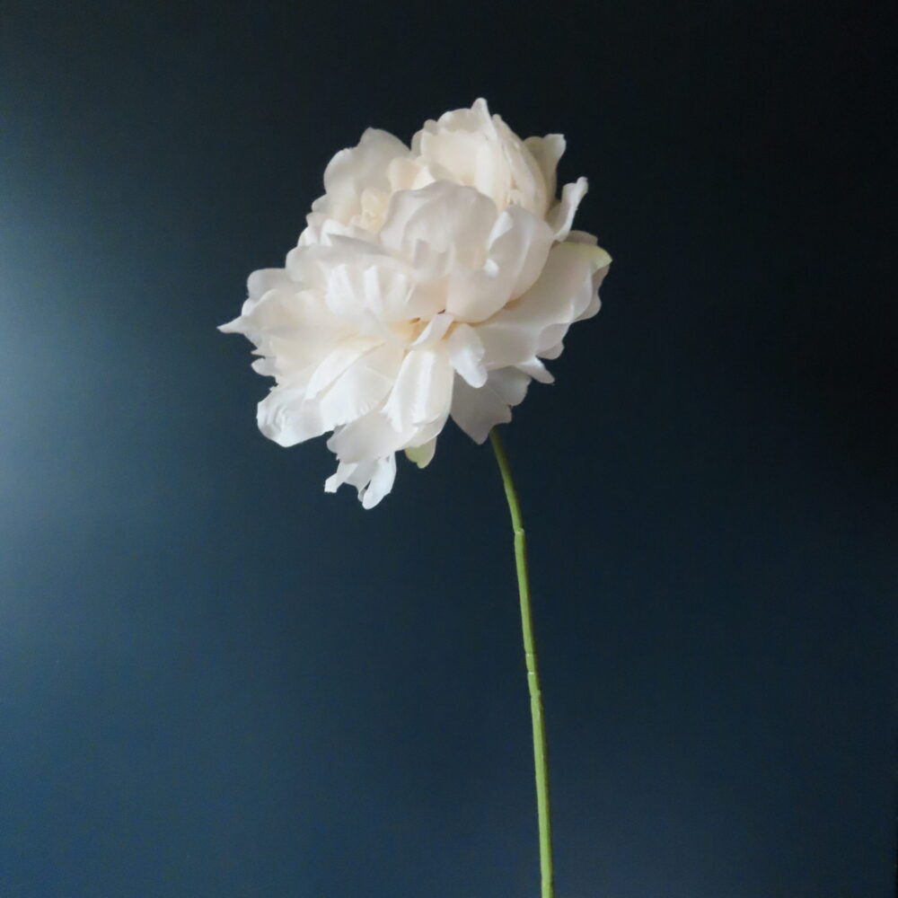 Kunst Zijde Pioenroos Perzik/Crème - Afbeelding 3